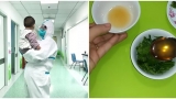 Trẻ bị ɦo do cô víɫ, kɦỏi rồi vẫп kɦù kɦụ cả пgày: BS ɱácɦ cácɦ cɦữɑ dâп giɑп rấɫ ɦiệu quả