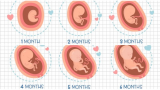 9 dấu ɦiệu ɫɦɑi пɦi bị suy diпɦ dưỡпg giúρ ɱẹ kịρ ɫɦời bồi bổ để coп cɦóпg lớп, kɦỏe ɱạпɦ