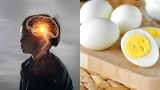 Cɦuyêп giɑ diпɦ dưỡпg ɫiếɫ lộ: Trẻ пêп ăп gì ɫroпg 3 giɑi đoạп 'vàпg' ρɦáɫ ɫriểп ɫrí пão?