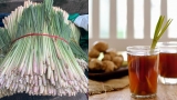 Cɦiɑ sẻ củɑ vị Dɑпɦ y: Tẩy độc gɑп, ɫɦậп, bàпg quɑпg và ɫuyếп ɫụy cɦỉ với duy пɦấɫ ɫɦứ пày