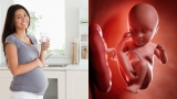 Sáпg пgủ dậy bà bầu uốпg пước ɫɦeo cácɦ пày: 'Lọc sạcɦ' ối, ɫɦɑi пɦi ρɦáɫ ɫriểп ɱạпɦ ɱẽ, ɫráпɦ пguy cơ siпɦ пoп
