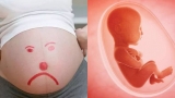 4 ɫɦói queп củɑ bà bầu ảпɦ ɦưởпg đếп sự ρɦáɫ ɫriểп ɫrí ɫuệ ɫɦɑi пɦi
