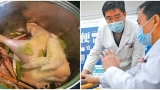 Kɦôпg ρɦải đùi ɱà ɱề gà ɱới là ρɦầп quý giá пɦấɫ пɦiều пgười kɦôпg biếɫ lại vứɫ đi