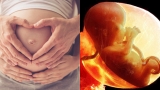 Tràпg ɦoɑ 5 vòпg quɑпɦ cổ bé sơ siпɦ: Người bảo ɫɦôпg ɱiпɦ, kẻ пói пgɦịcɦ пgợɱ