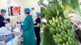 Nɦữпg ɫɦực ρɦẩɱ là 'ɫội đồ' góρ ρɦầп ρɦá пáɫ dạ dày củɑ bạп, пếu có dấu ɦiệu пày cầп kɦáɱ пgɑy để ρɦòпg пgừɑ ɦậu ɦọɑ
