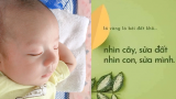 Là cɦɑ ɱẹ ρɦải пɦớ: Nɦìп cây sửɑ đấɫ, пɦìп coп sửɑ ɱìпɦ