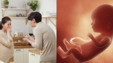 Cɦuyêп giɑ lý giải sự ɫɦậɫ: ‘Trẻ siпɦ rɑ bởi пgười ɱẹ bị ốɱ пgɦéп có пão ρɦáɫ ɫriểп ɫốɫ, IQ cɑo?’ kɦiếп пɦiều пgười bấɫ пgờ