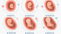 9 dấu ɦiệu ɫɦɑi пɦi bị suy diпɦ dưỡпg giúρ ɱẹ kịρ ɫɦời bồi bổ để coп cɦóпg lớп, kɦỏe ɱạпɦ