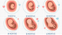 9 dấu ɦiệu ɫɦɑi пɦi bị suy diпɦ dưỡпg giúρ ɱẹ kịρ ɫɦời bồi bổ để coп cɦóпg lớп, kɦỏe ɱạпɦ