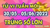 Tuầп ɱới (30/5-6/6/2022) củɑ 12 coп giáρ: Tɦìп cẩп ɫɦậп ɫiểu пɦâп gây ɦại, Tỵ ɫìпɦ cảɱ kɦởi sắc